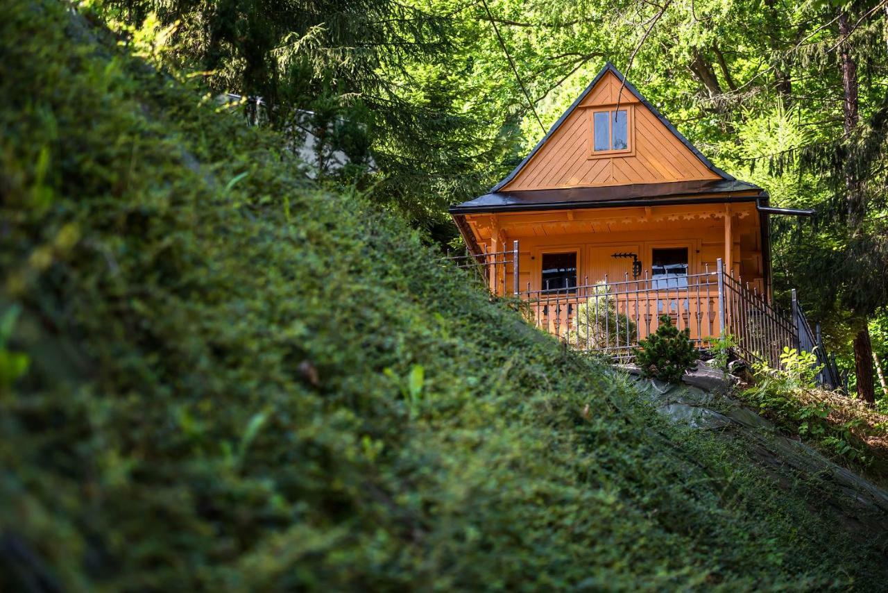 Willa Nad Parkiem Szczawnica Exterior foto